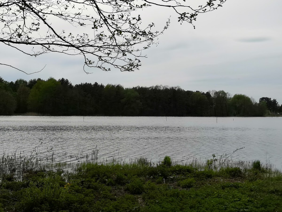 Cafe 'At the River' - 3