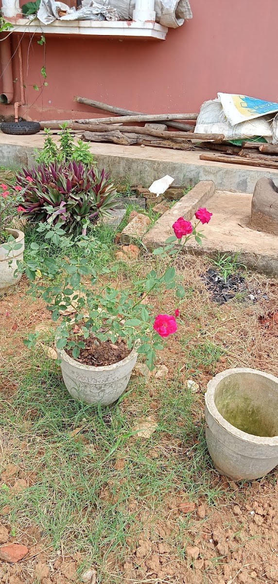 ONLINE COMMUNICATION