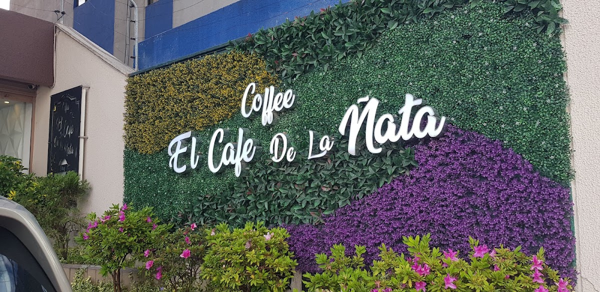 The Coffee Of Tiny Nose - 4