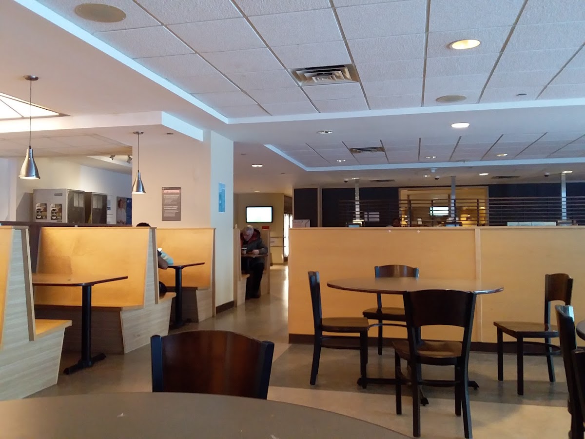 The Tulip Café - 1