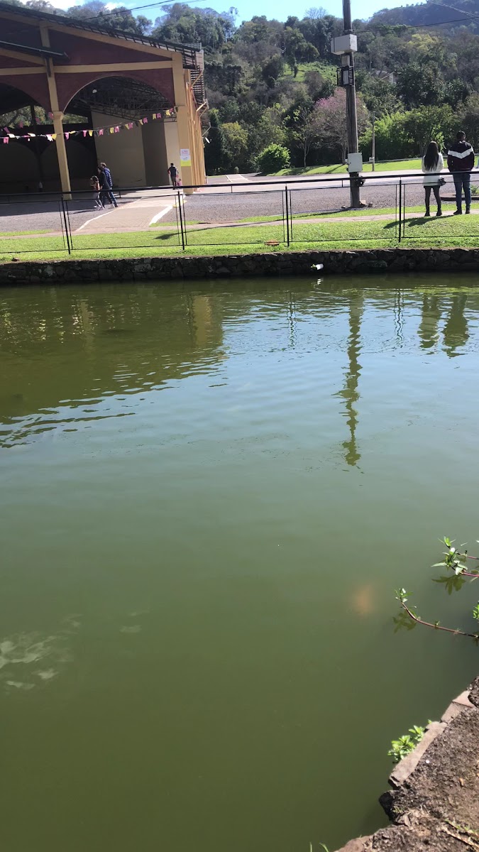 Parque picada café - 2