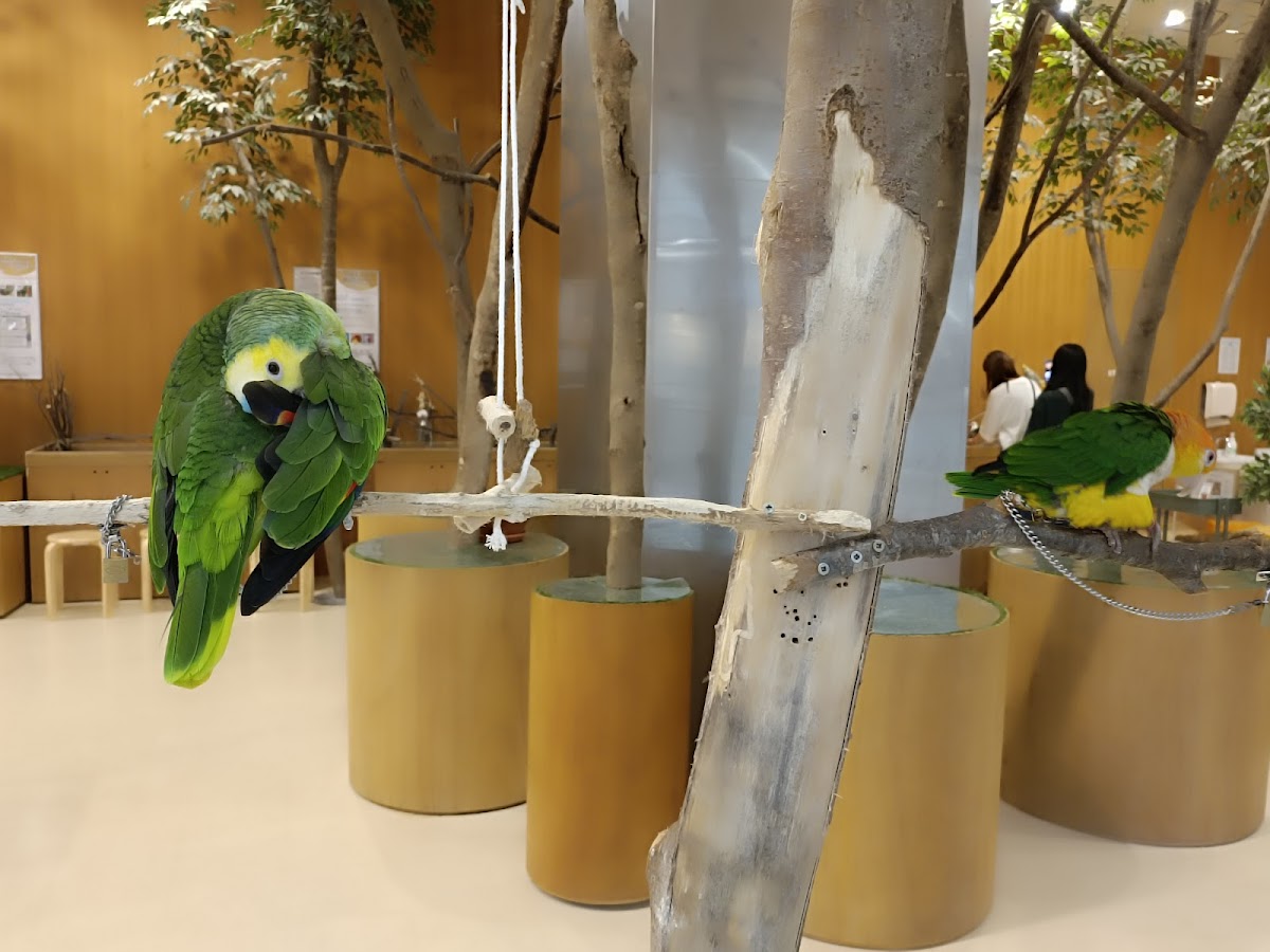 Moff animal cafe AEON MALL Natori - 2