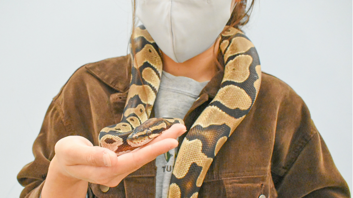 Moff animal cafe AEON MALL Natori - 3