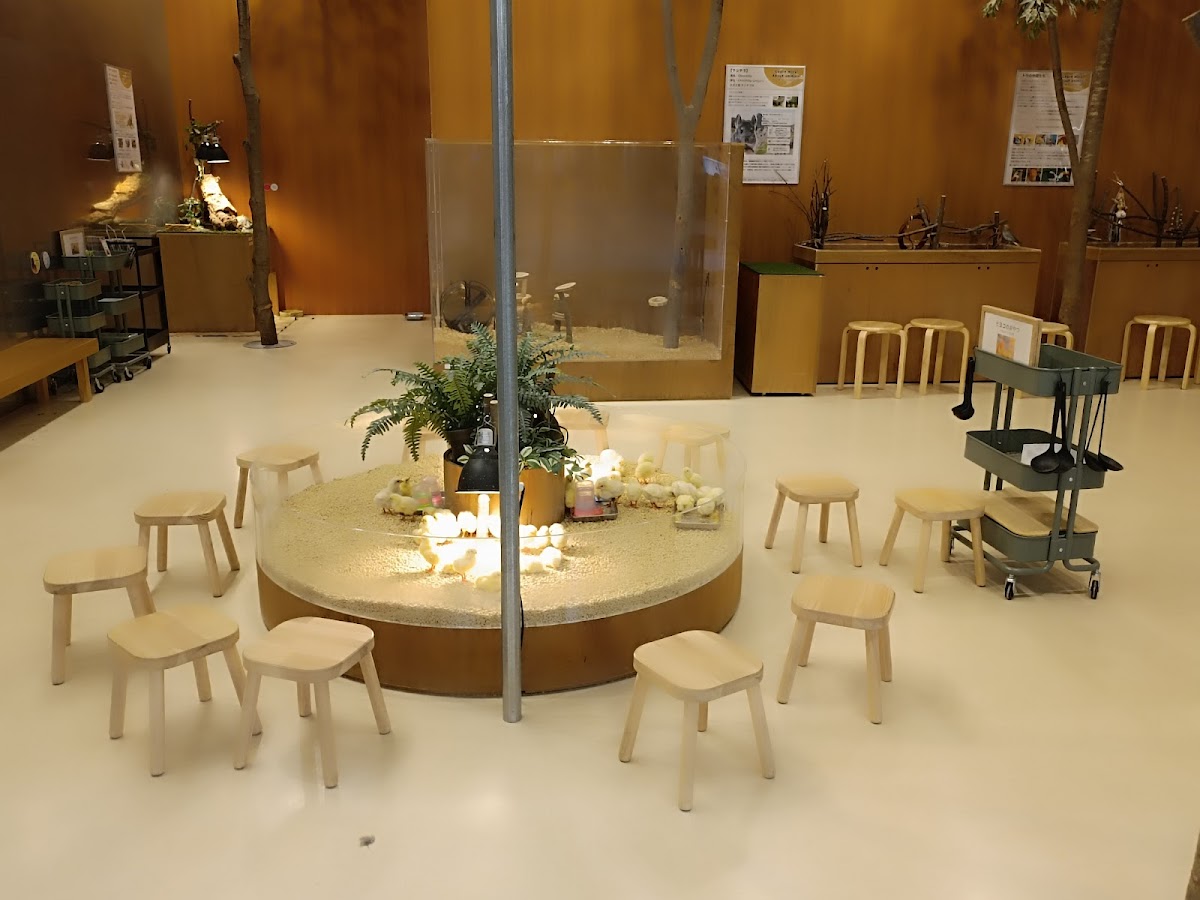 Moff animal cafe AEON MALL Natori - 6