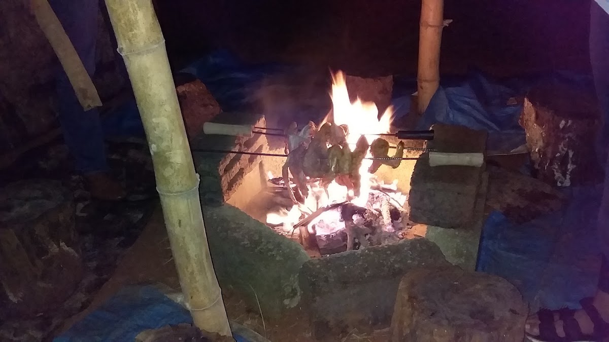 THE BEE HIVE HOMESTAY