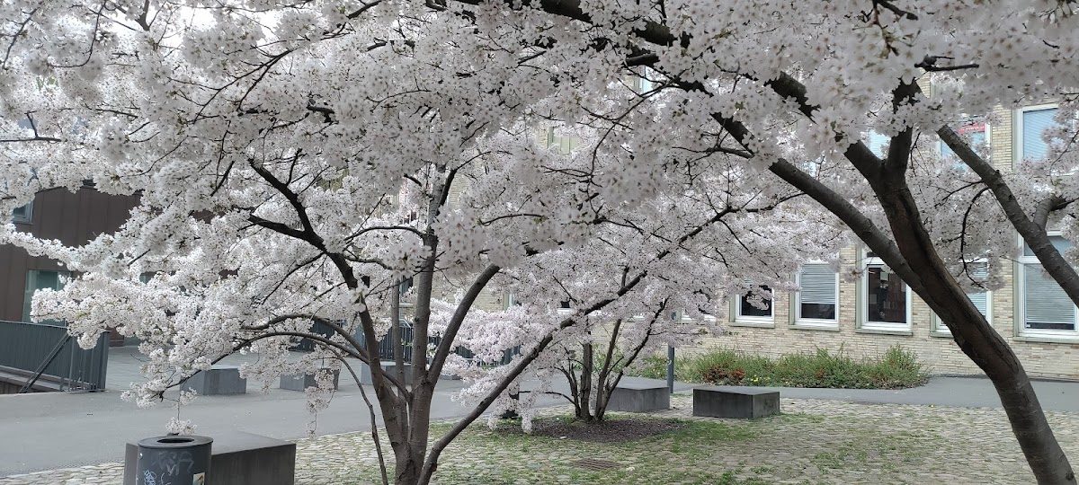 Das Fabrik-Café - 2