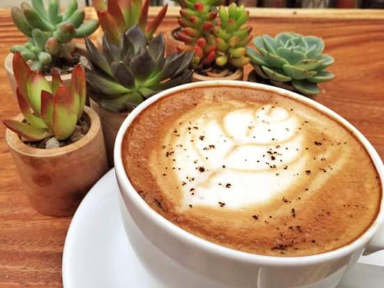 Secret Haven Cafe - 3