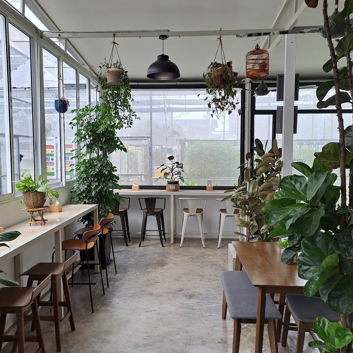 Amaneco Café & Aquaponics