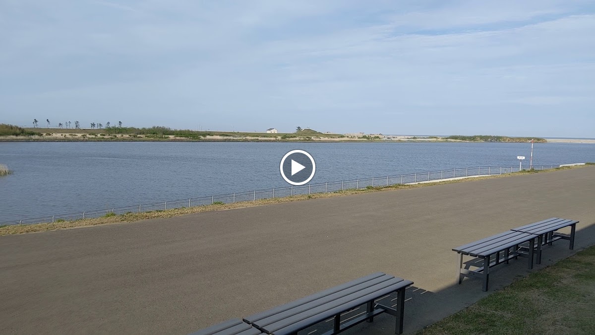 minamo café / かわまちてらす閖上 - 2