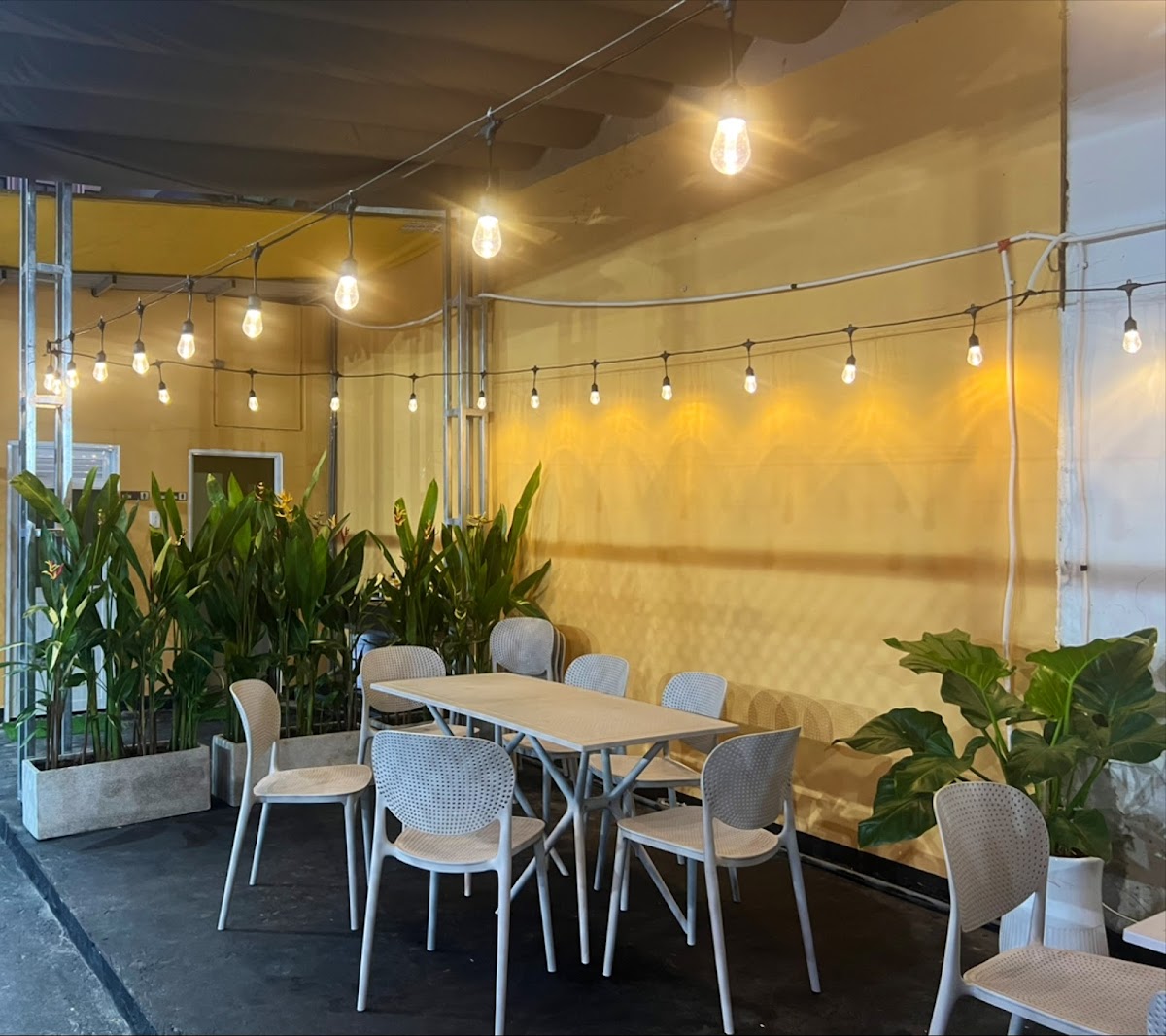 Bad Bunny Pickleball Cafe