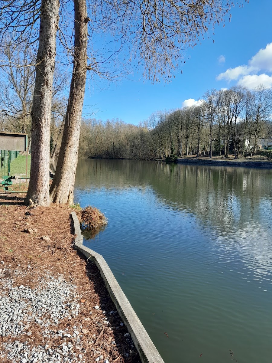 Chalet des Epines - 2