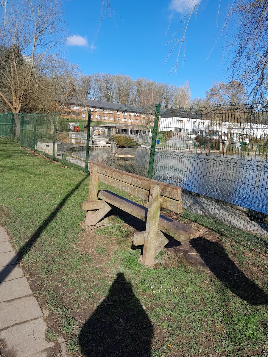 Chalet des Epines - 4