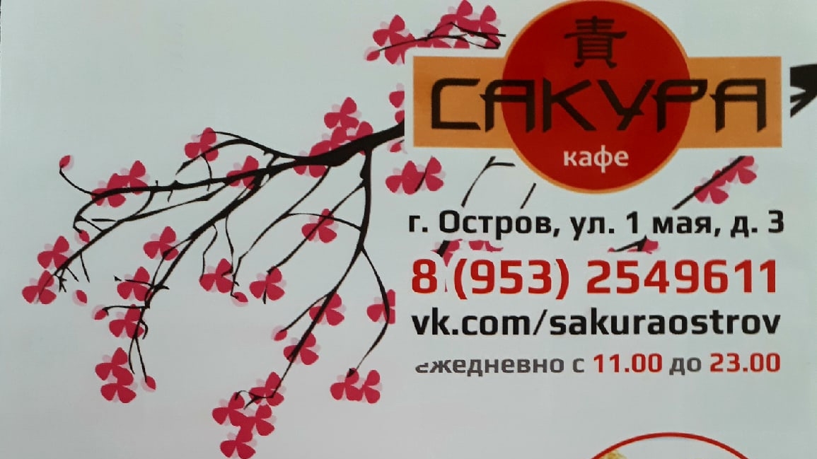 Kafe Sakura - 3