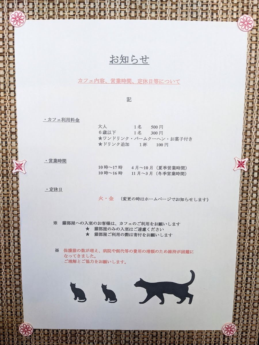 Cat Cafe Neko House Kuu - 2