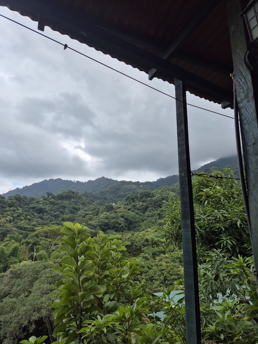 EL ARCA MINCA - 4