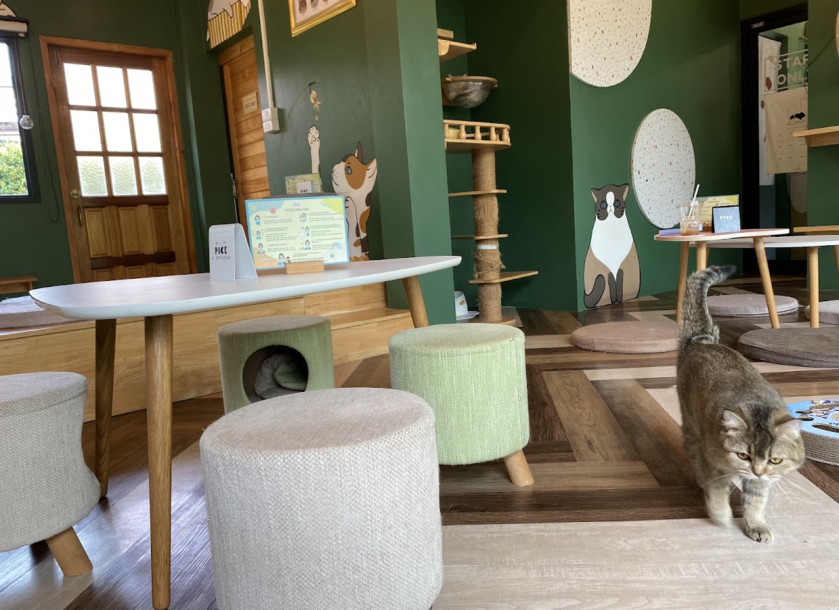 Pick a Pieces Café & Cuddle