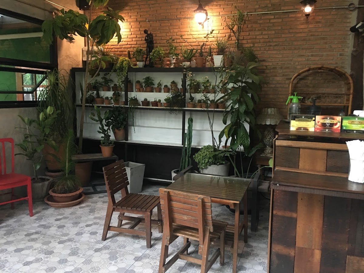 The Forest Friends Chiangmai