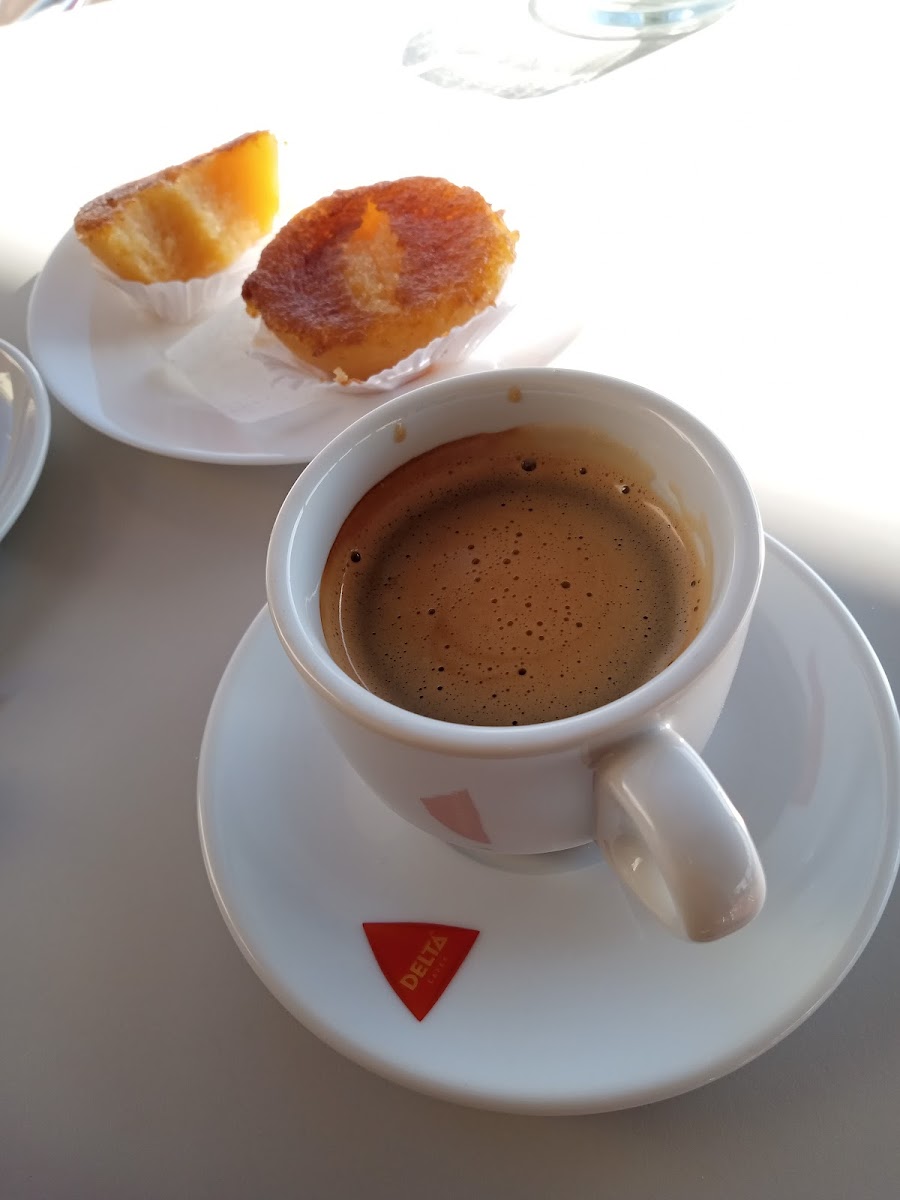 A Tulipa do Sado - 2