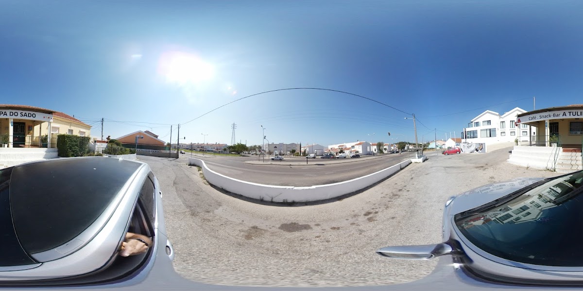 A Tulipa do Sado - 4