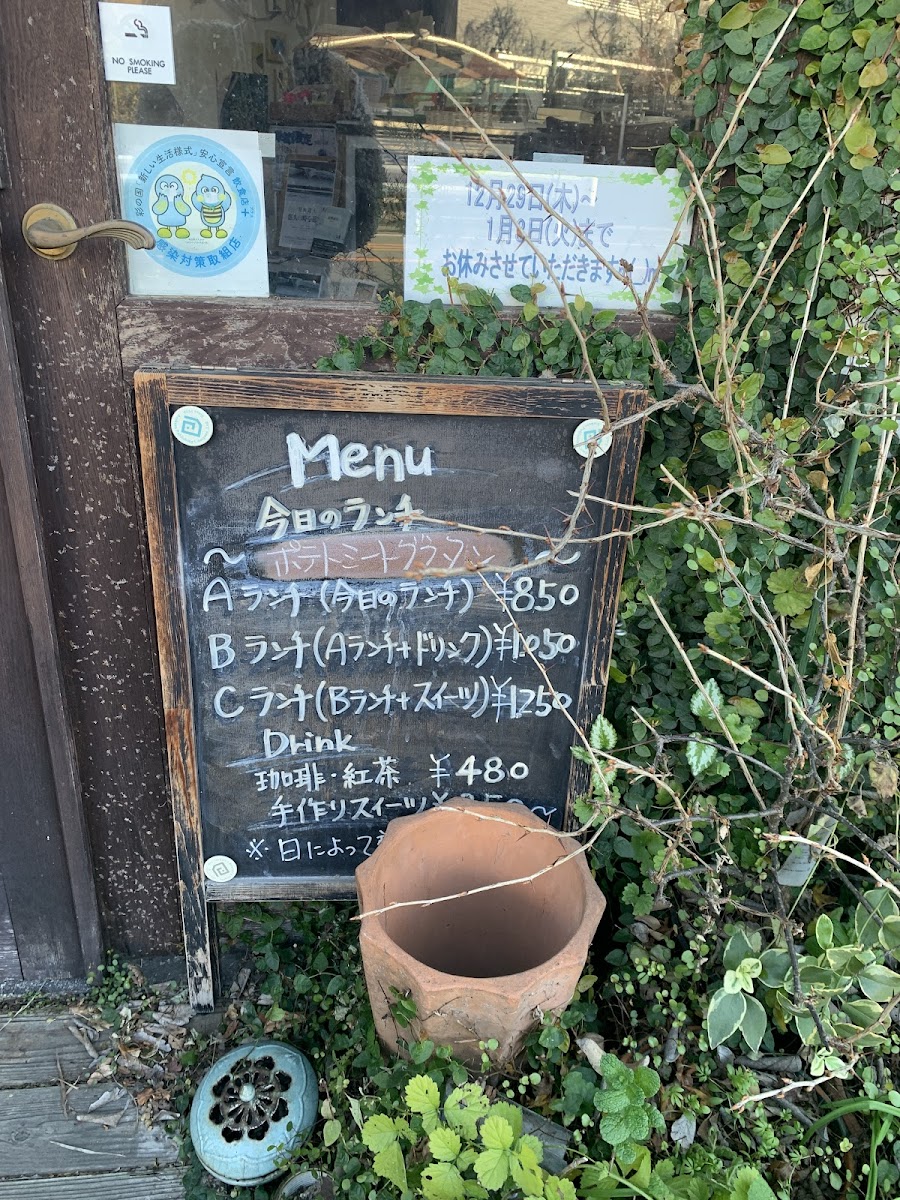 English Bluebell - 1