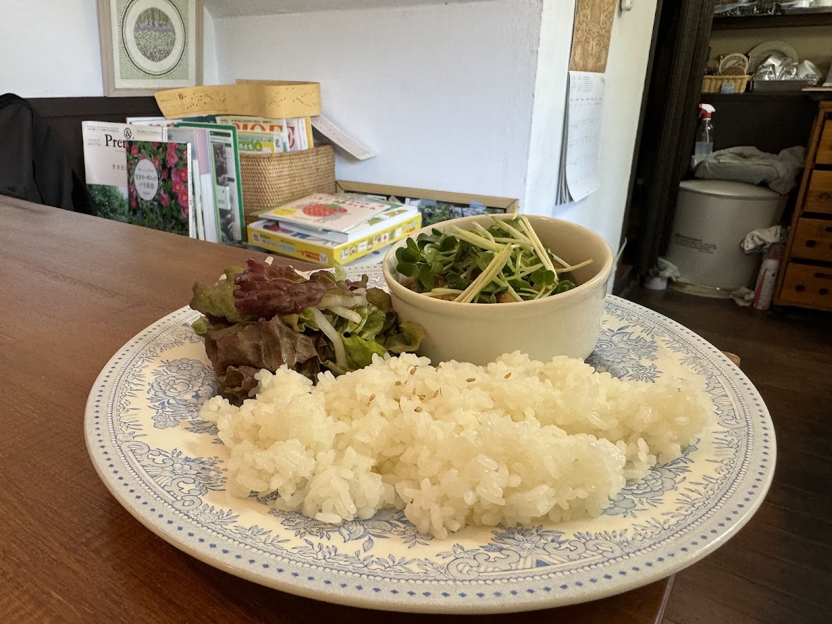 English Bluebell - 10