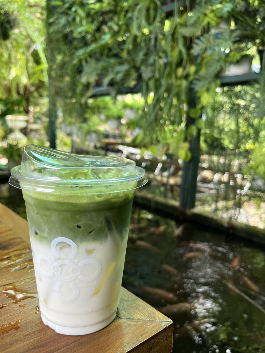 บ้านพริก คาเฟ่ Banphrik cafe - 10