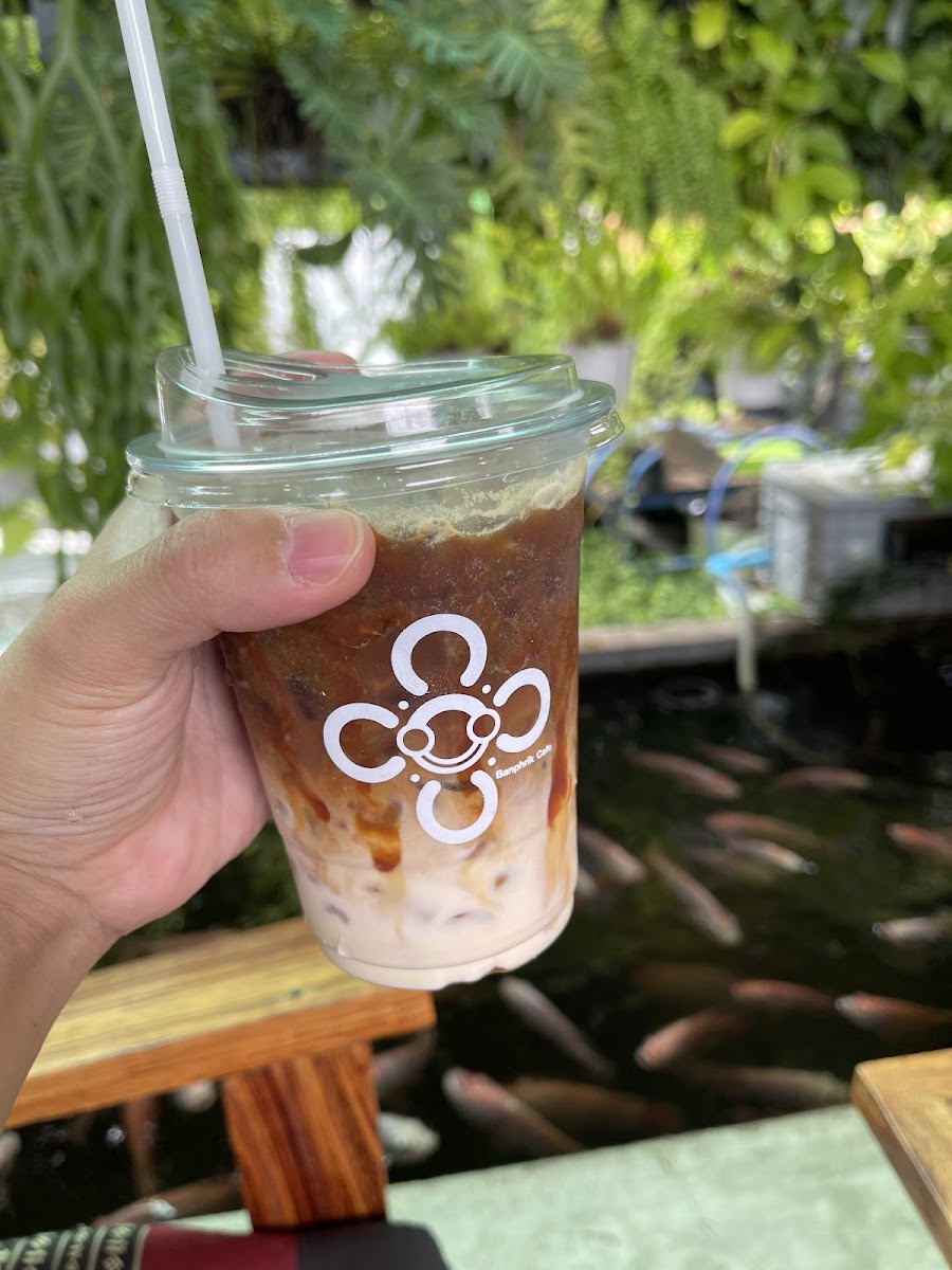 บ้านพริก คาเฟ่ Banphrik cafe - 7