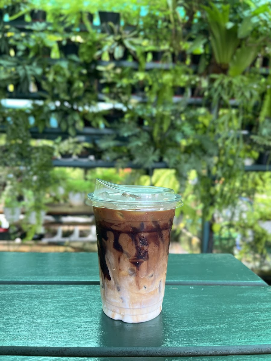 บ้านพริก คาเฟ่ Banphrik cafe - 8