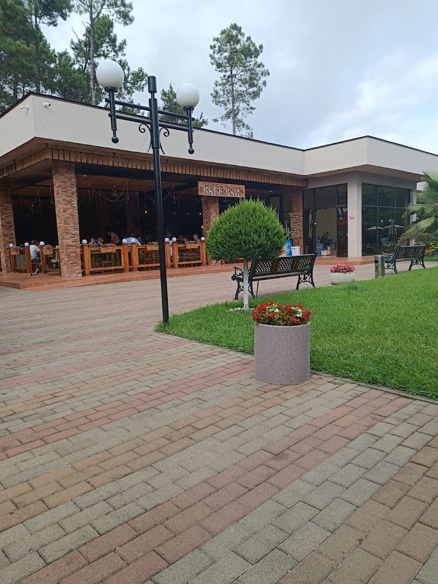 Kolkhi - Cafe-Bar-Restaurant - 4