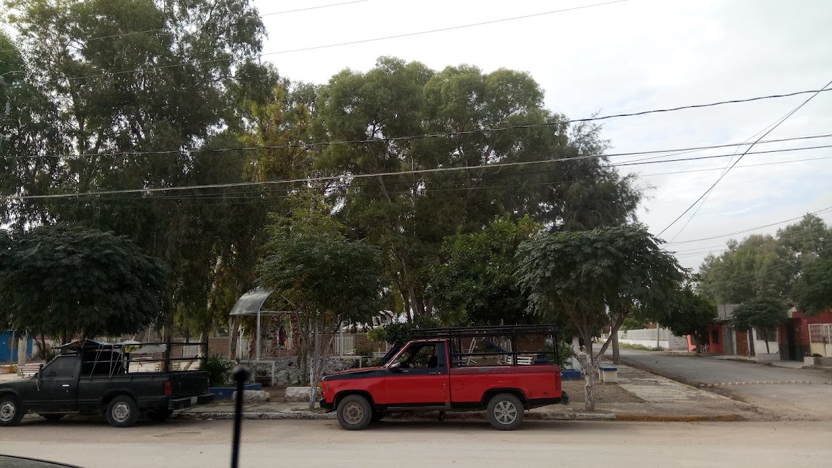 Disfruta (Jugos, Licuados & Desayunos) - 3