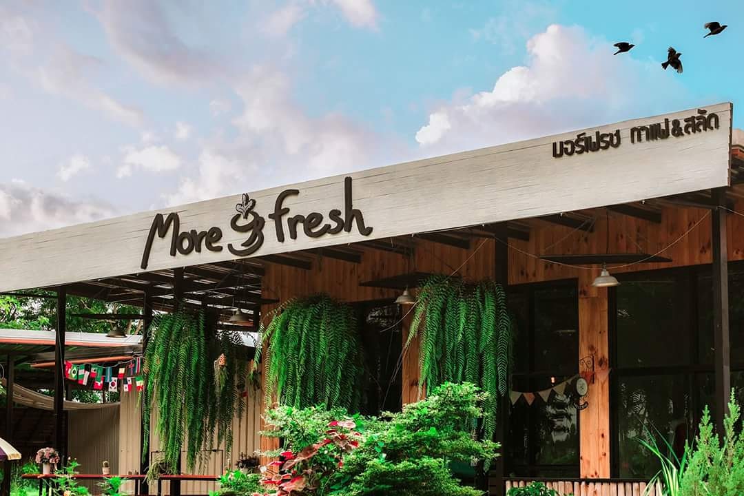 More Fresh Coffee & Salads