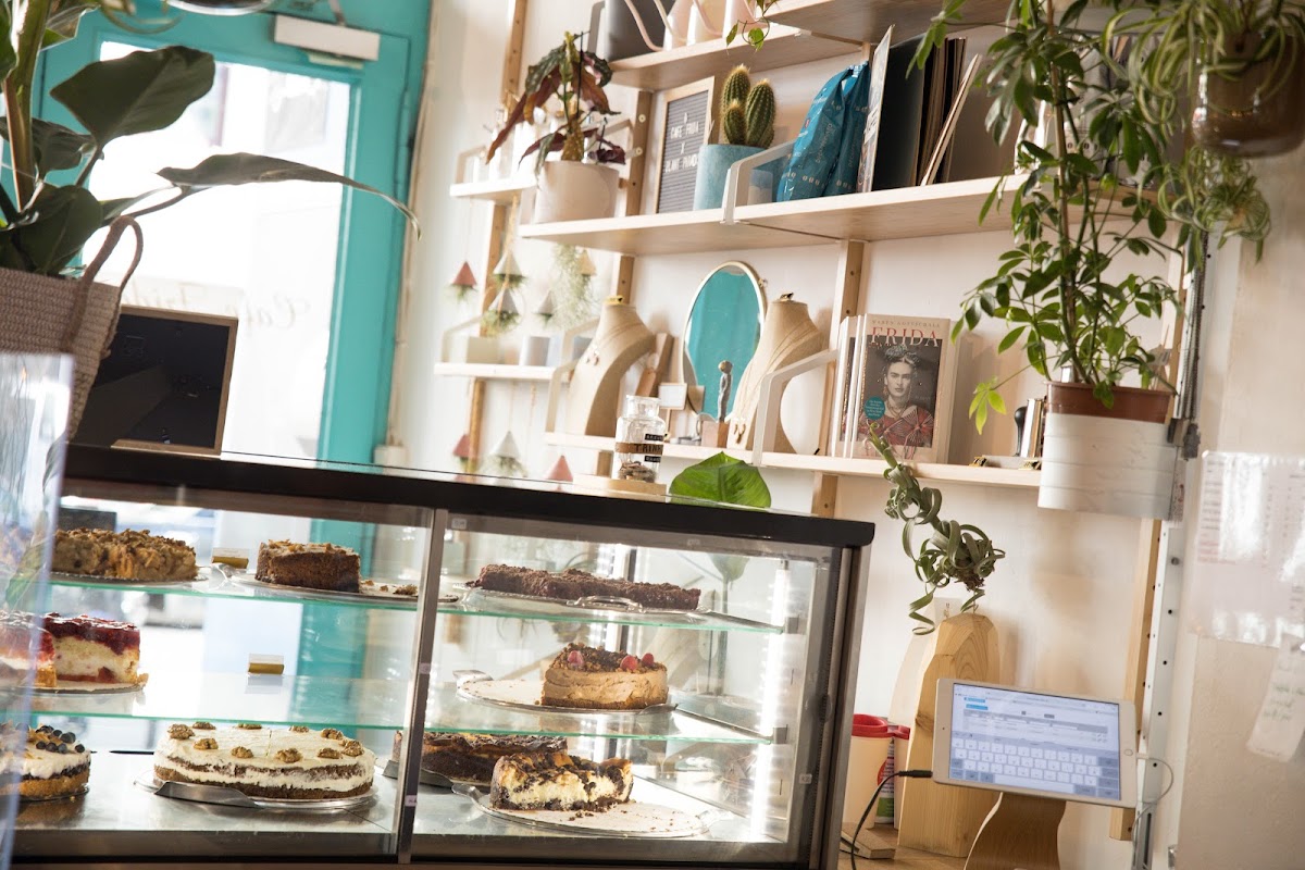 Cafe Frida x Plant Paradise