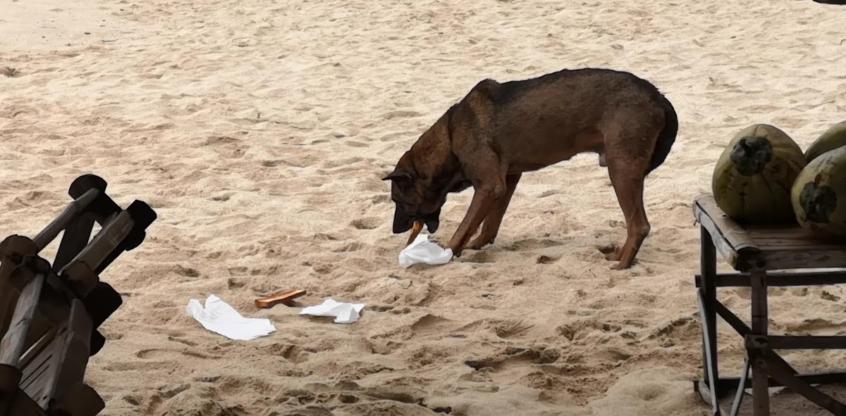 Silver Wave Seafood Restaurant - 2