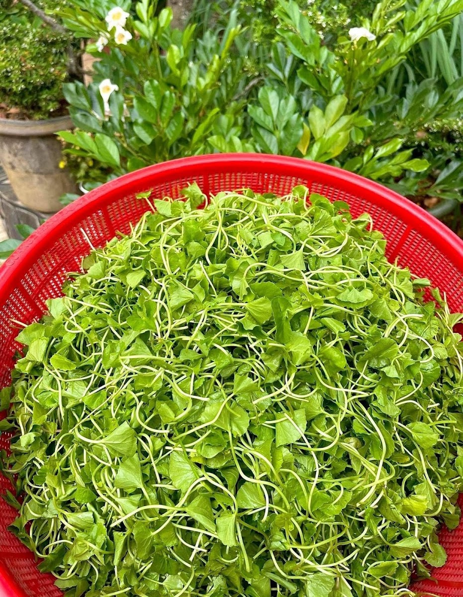 Coffee An Nhiên - 5