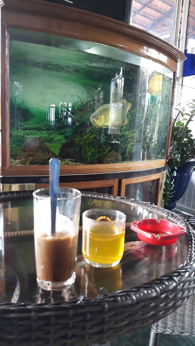 Quán Cà Phê 108 - 5