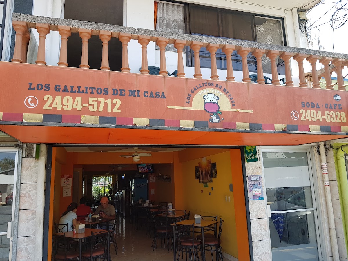 Los Gallitos de mi Casa