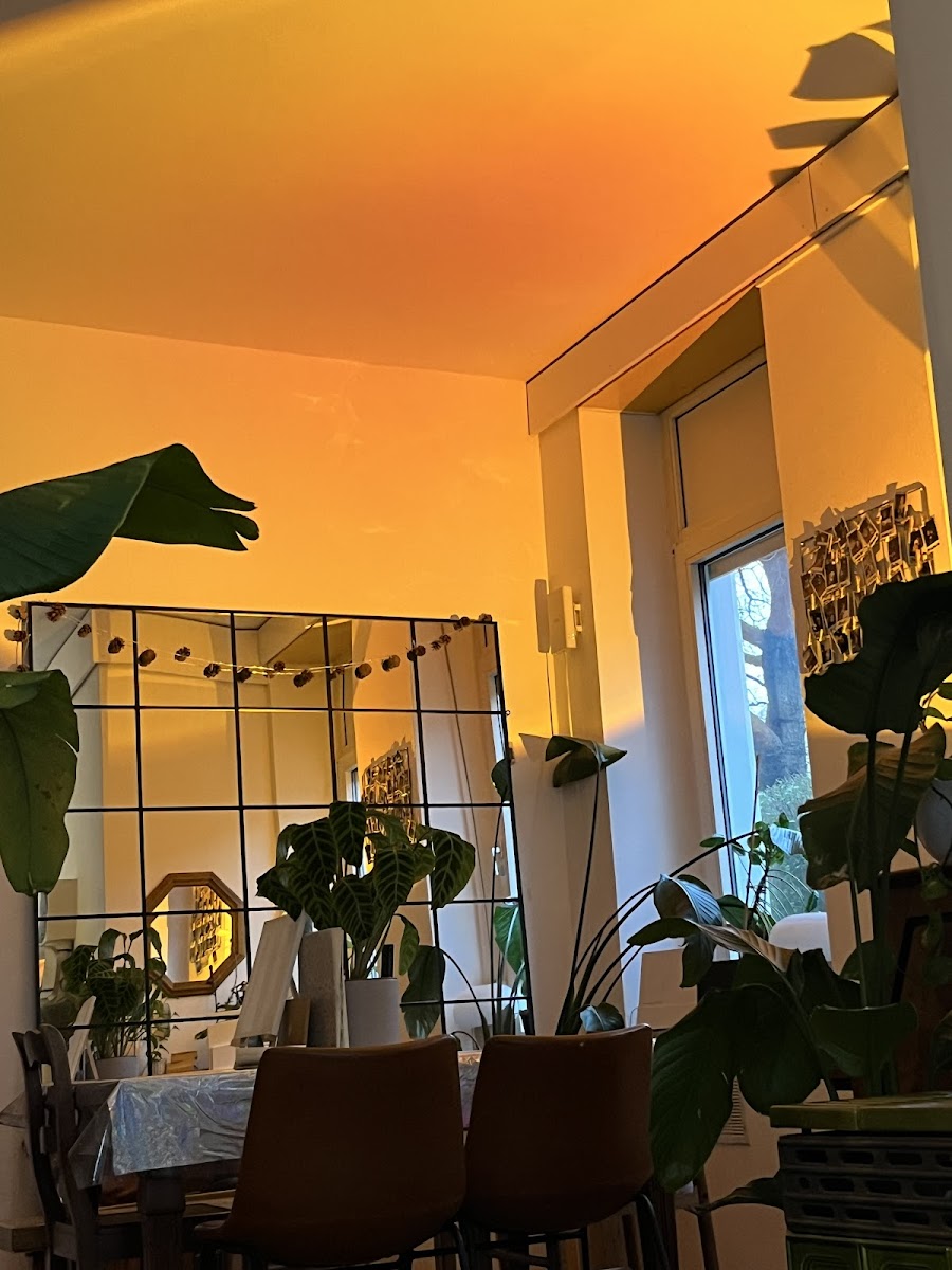 delulu coffee - Café | Concept Store | Events