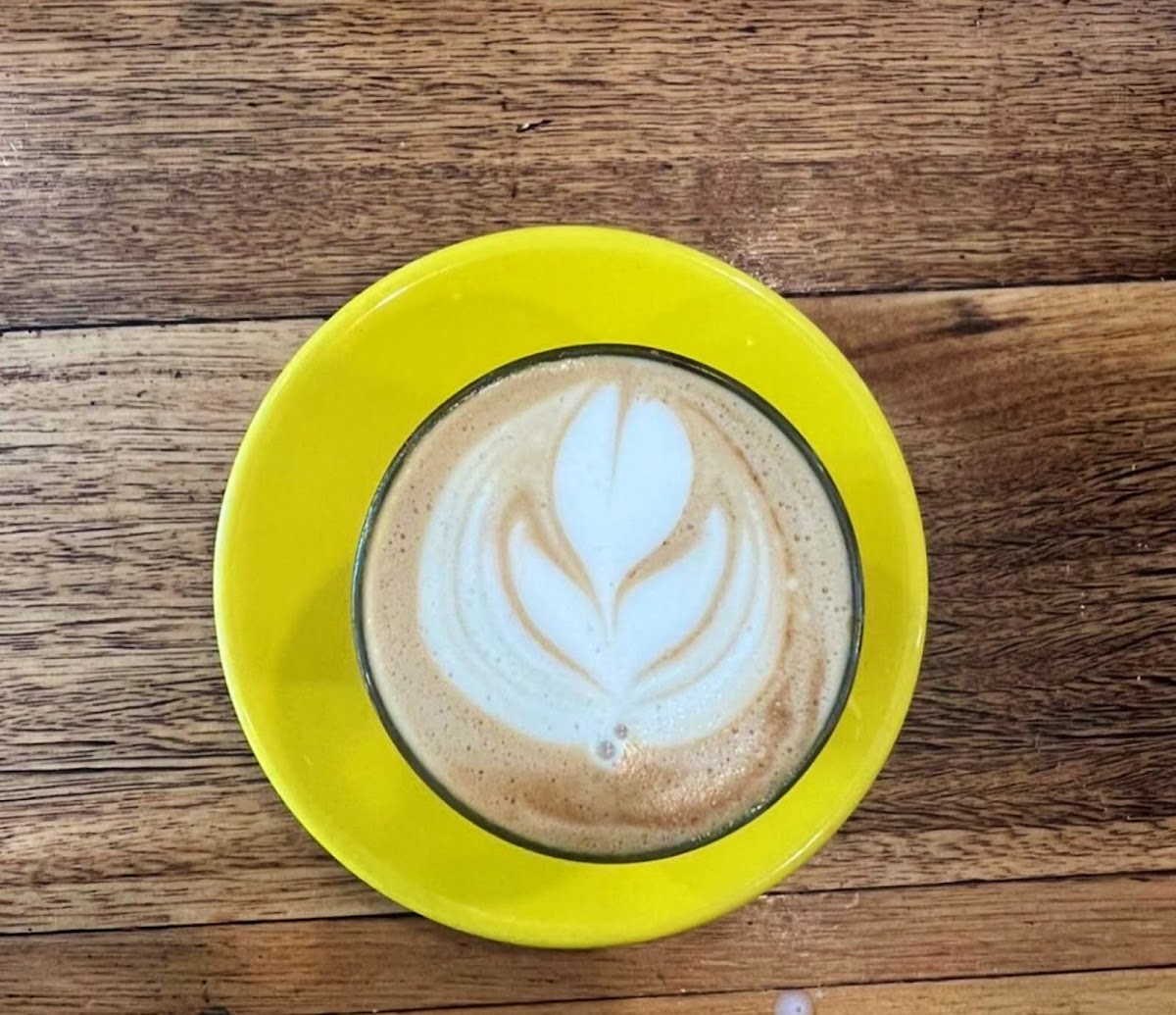 Bizzy Beans Cafe - 4