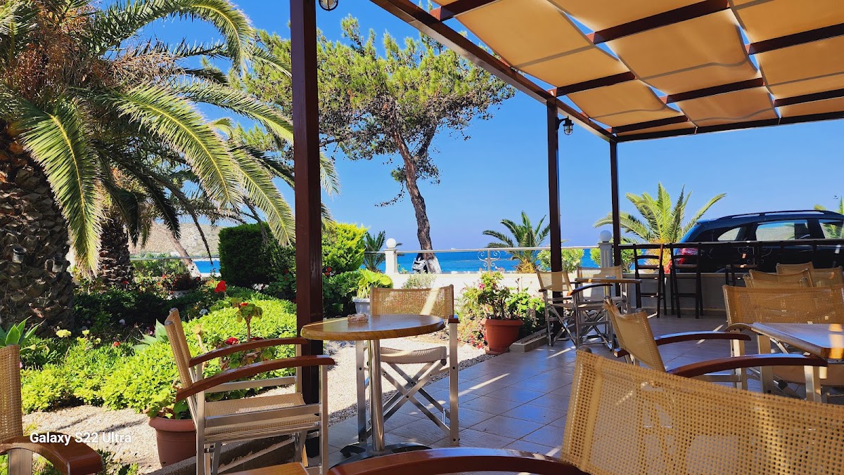 Exotic Sunset Cafe Bar