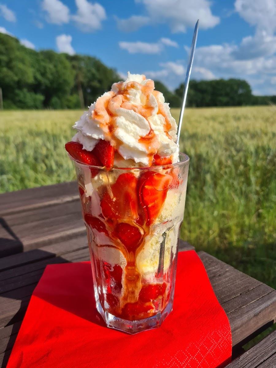 Sonnenhof (Hof-Café)