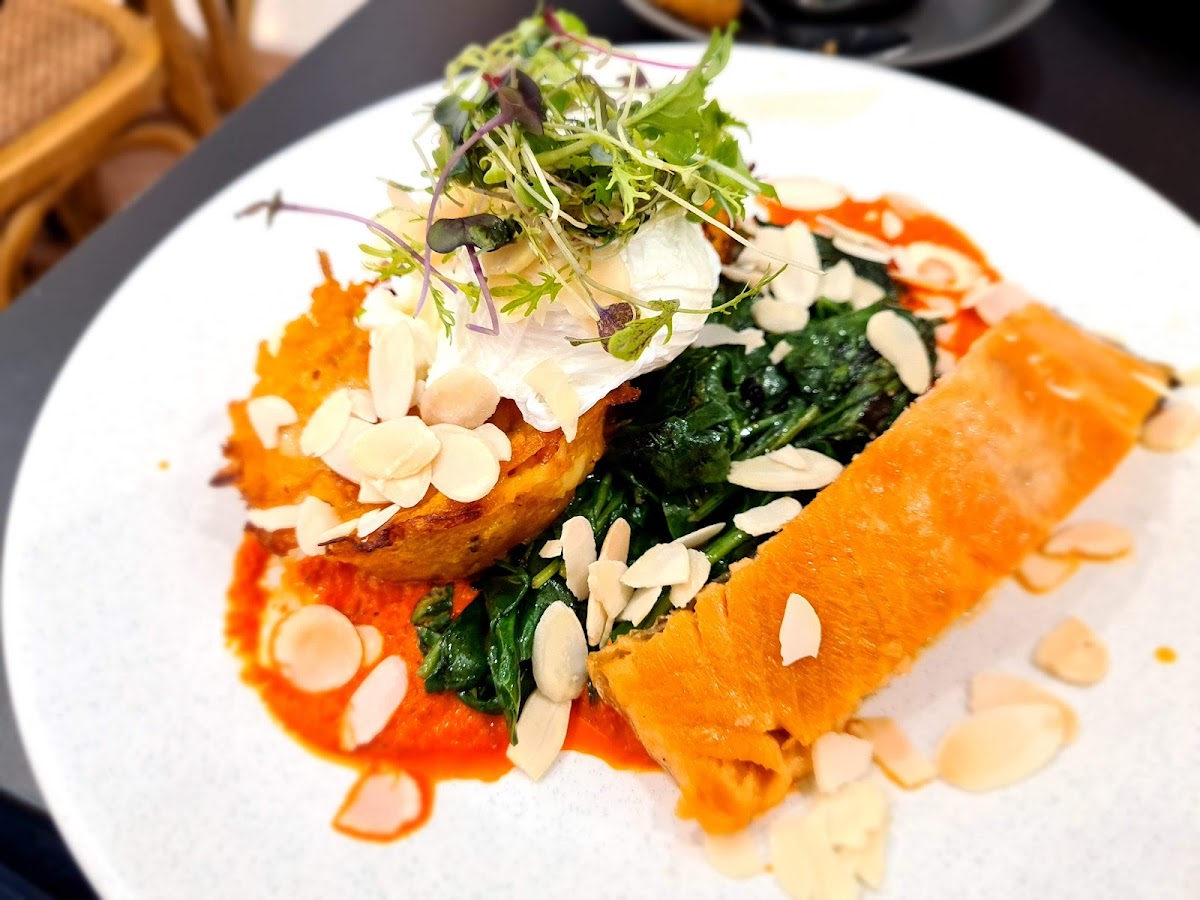 Jamaica Blue Kardinya - 9