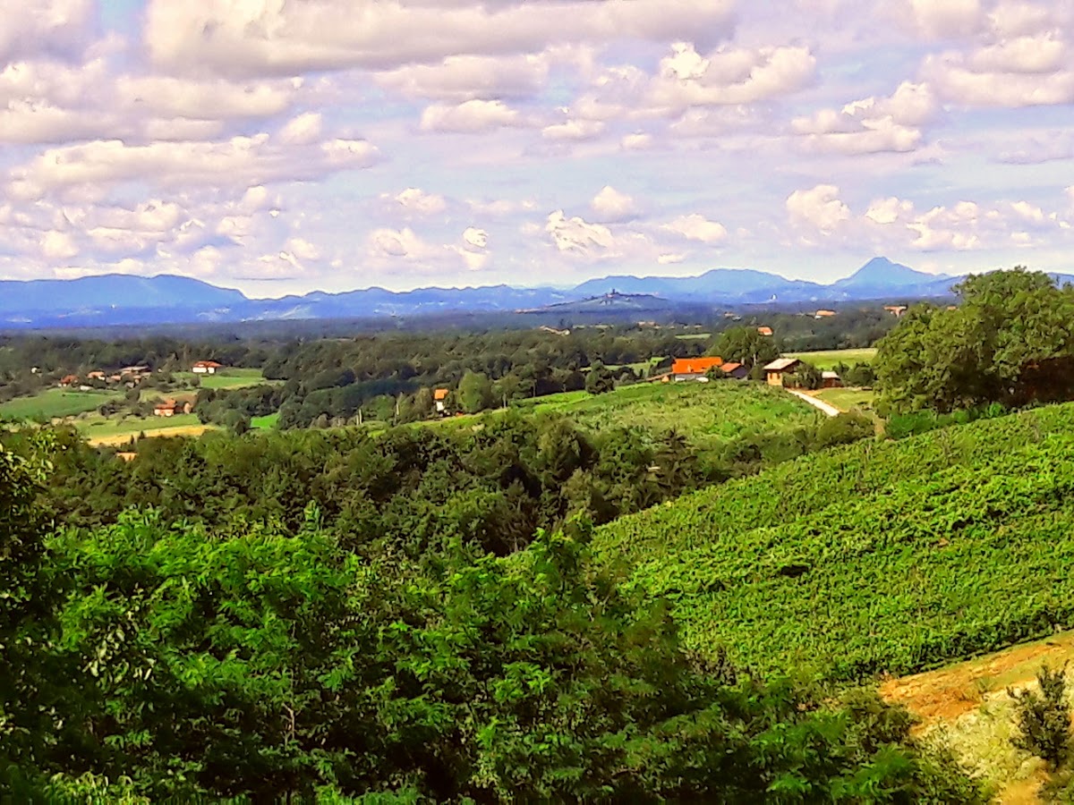 Caffe Bar V Goricaj - 4