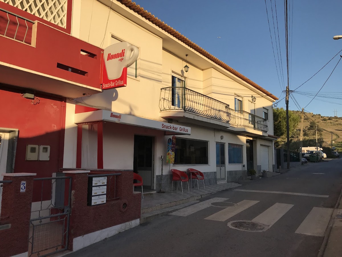 Maria J Guedes Soares