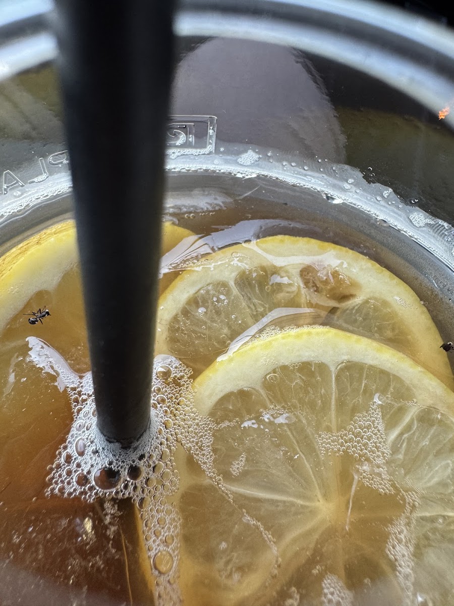 Espresso Way - Drive Thru Coffee - 6