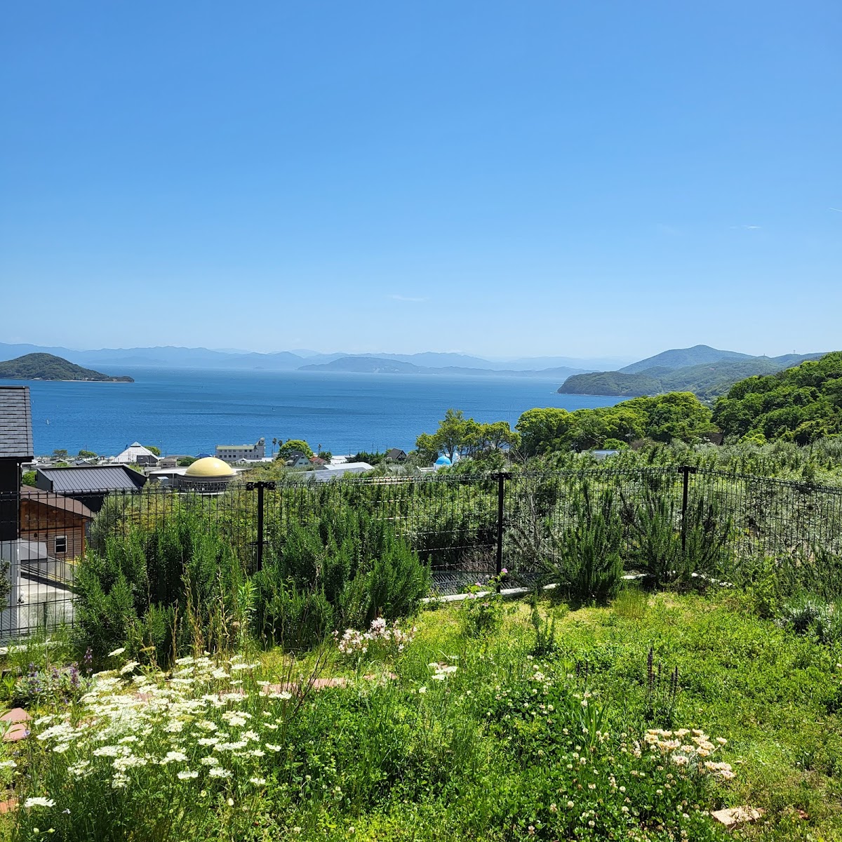 Daniel's gallery, café and lounge ダニエルズ 小豆島 - 4