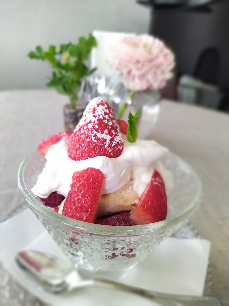 Daniel's gallery, café and lounge ダニエルズ 小豆島 - 6