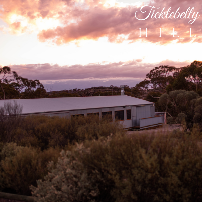 Tickle Belly Hill - 3