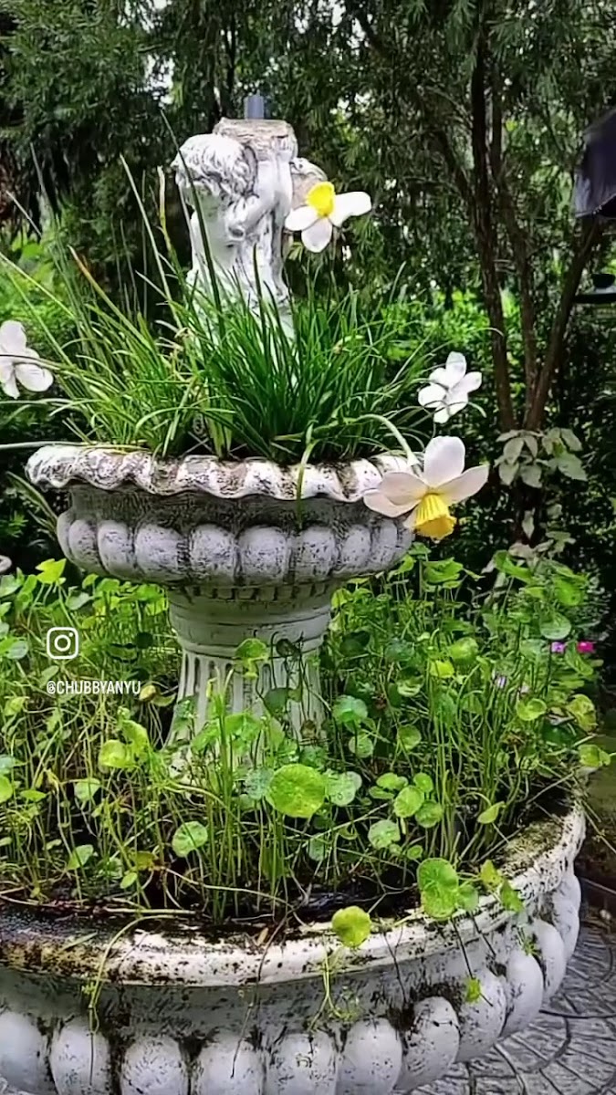 Baanphysics Cafe บ้านฟิสิกส์คาเฟ่ - 2