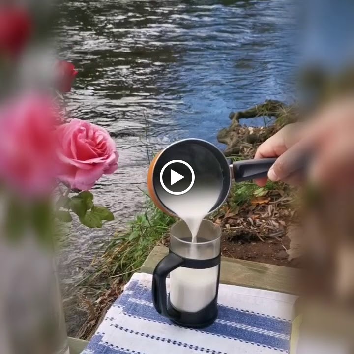 Eleganza Coffee roaster - 2