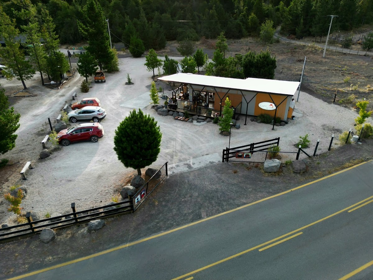 Eleganza Coffee roaster - 4